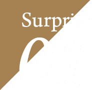 Surprise01